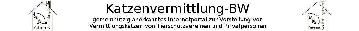 Katzenvermittlung BW