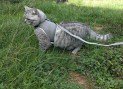 1000066520_1_11zon_6ac61bb9a2519