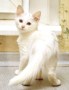 5d42ded4-d78a-4905-a403-188b6cfc55c7