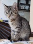Alice6