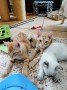Bild18