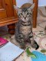 Bild3