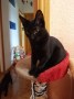 Billy