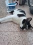 Bimba1