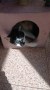 Bimba6
