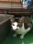 Chippy_IMG_6864