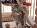 Chloe