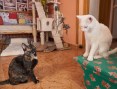 Cloe (links) und Clarisa (rechts)