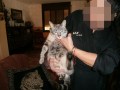 Copito1