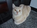 DSC01704