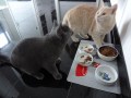 DSC01712