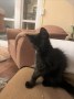 Filou8