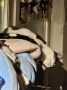 Gismo3