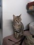 IMG-20230614-WA0001