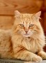 IMG-20250406-WA0003