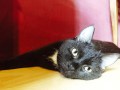 IMG_0874