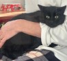 Katerchen2