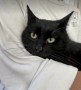 Katerchen