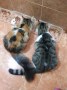 Kenny (rechts im Bild)