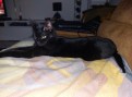 Lilla