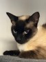 Lucy46