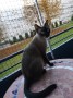Michino2