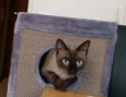 Michino6