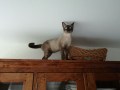Michino7