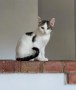 Mitty