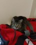 Sammy1