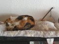 Yuki2