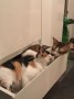 Yuko,Marco_IMG_6090