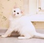 b4b0f381-6be4-494a-88db-611f32b957a4