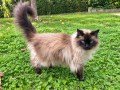 gizmo-komprimiert_6a9da574dcdac