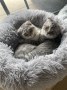 Lenny und Nayla