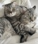 Milo und Lenny